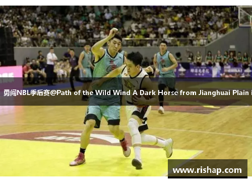 合肥飞将新征程：勇闯NBL季后赛@Path of the Wild Wind A Dark Horse from Jianghuai Plain in NBL Playoffs